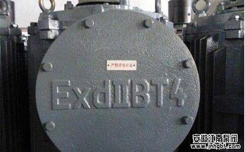 防爆電動(dòng)機(jī)